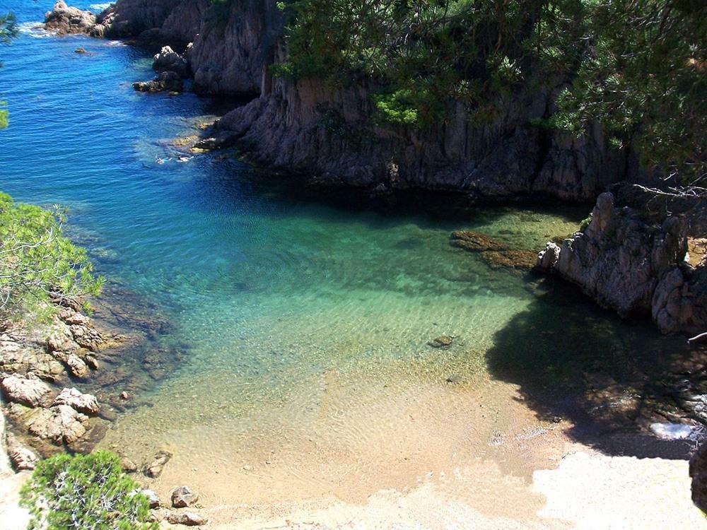 Mirador De Begur Daire Dış mekan fotoğraf